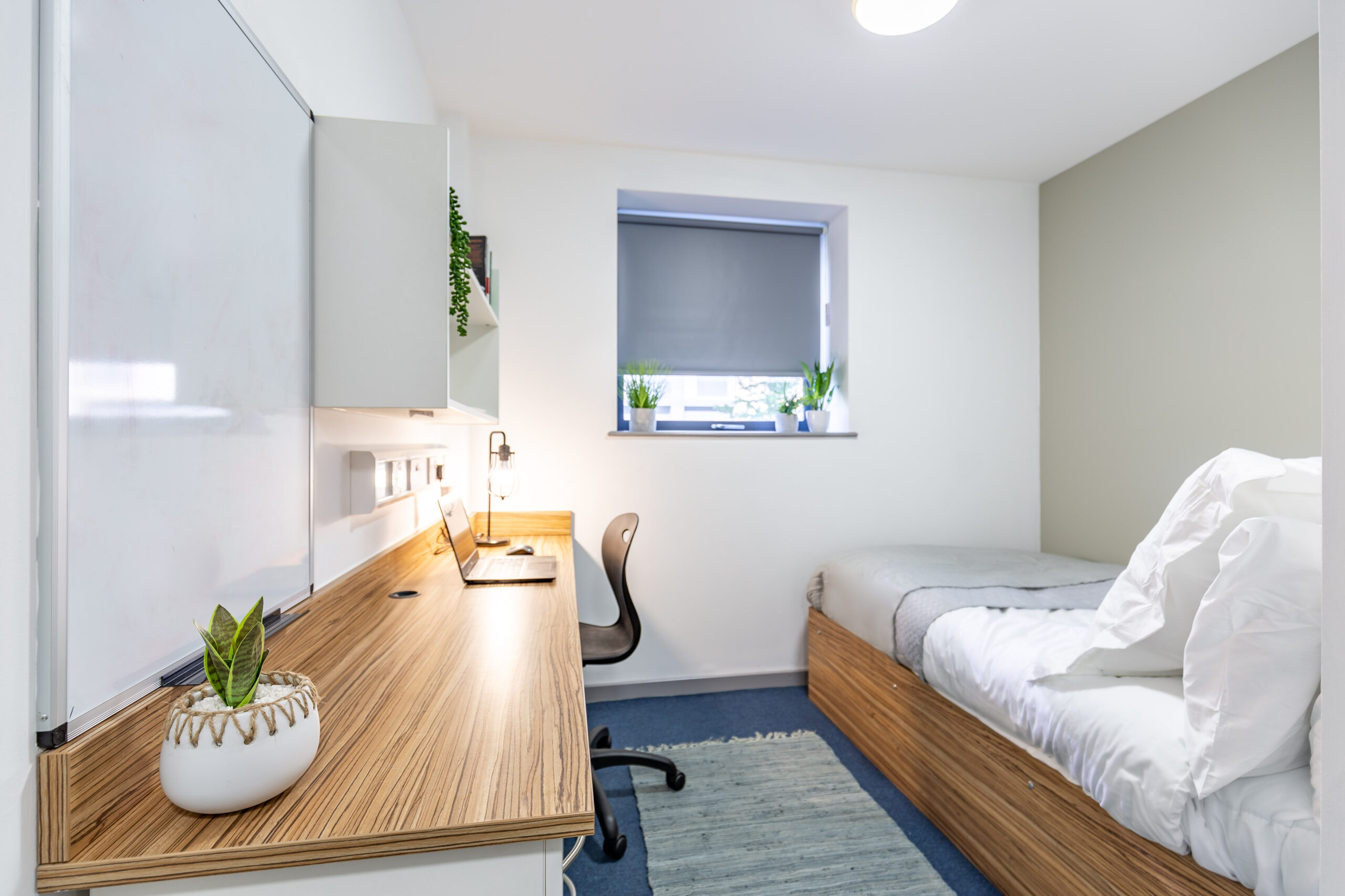 Rosedale Court Bedroom 1