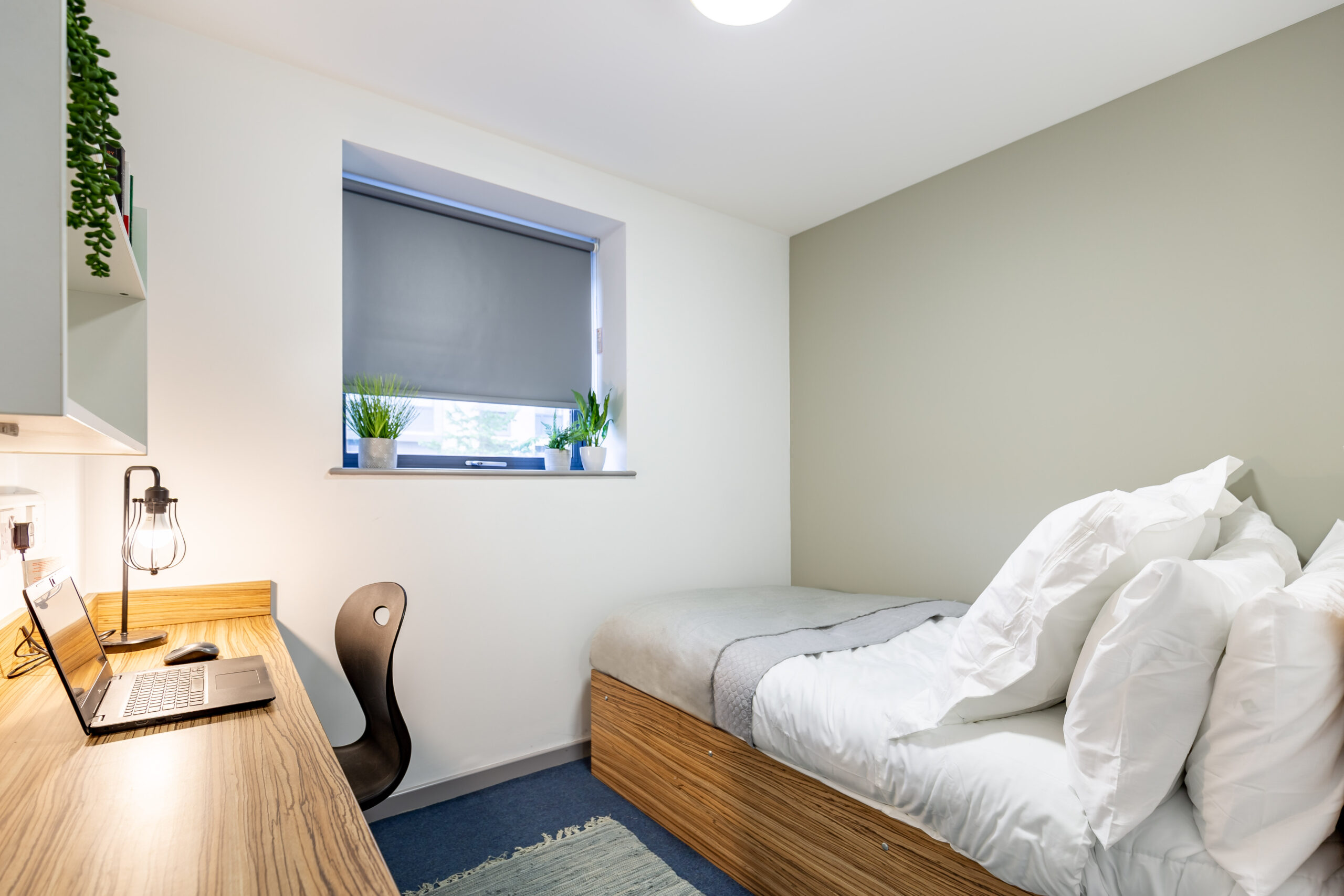 Rosedale Court Bedroom 3