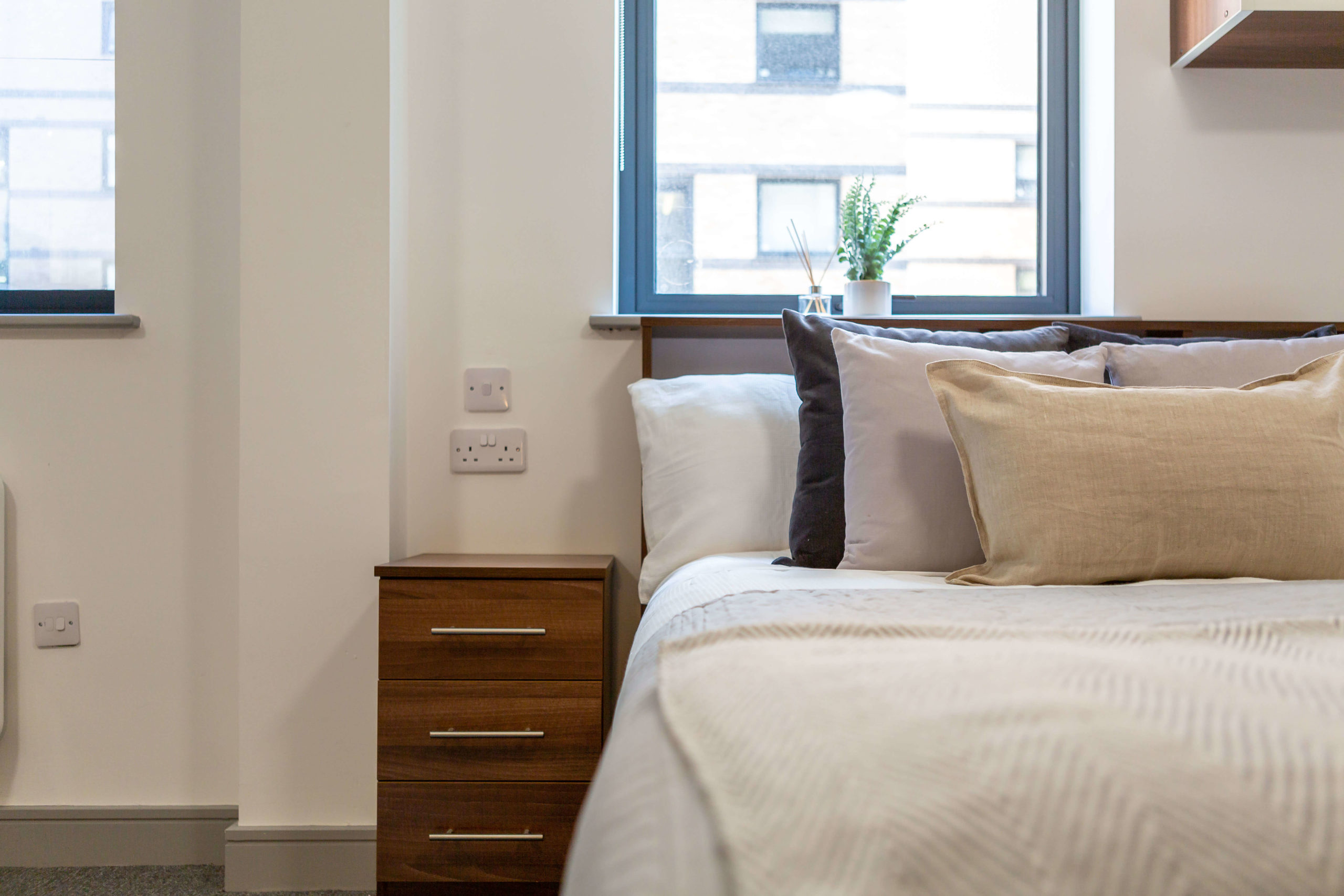 The Foundry Premium Studio